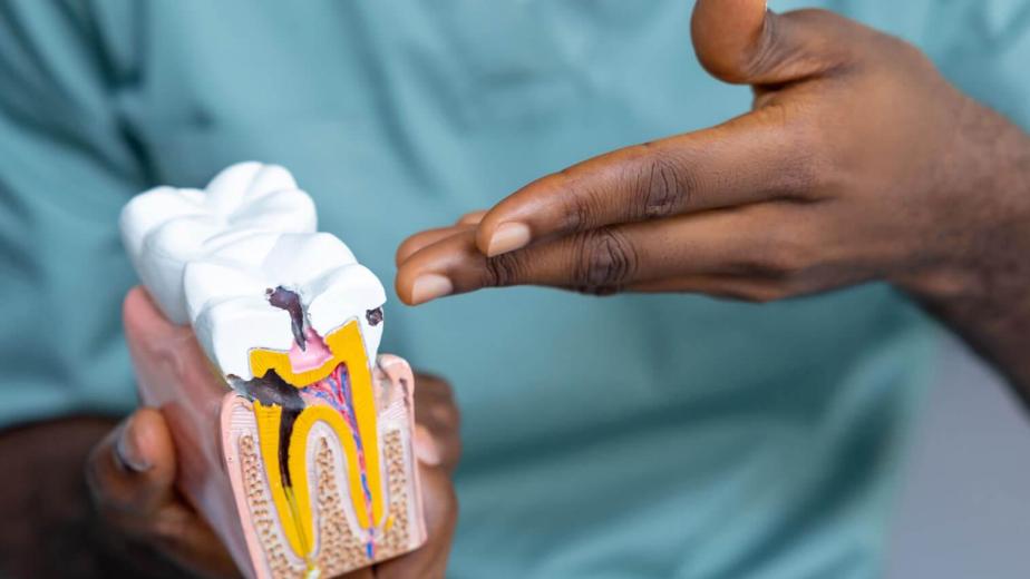 Diagram showing enamel, dentin, and microtubules connected to the tooth nerve